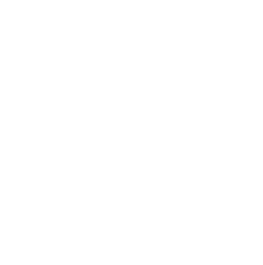 steak